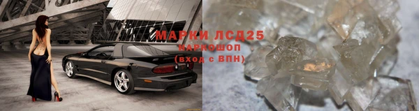гашик Алексеевка